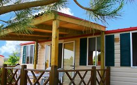 Camp Dole Zivogosce